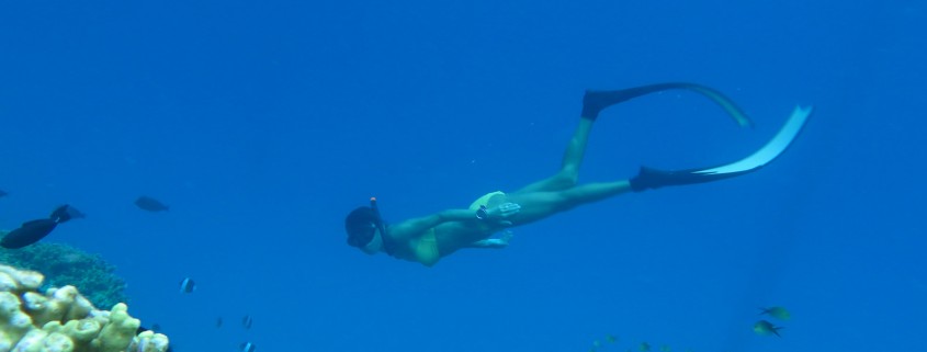 Free diving courses Hideaway Maldives